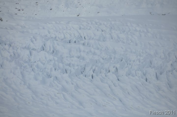 DSC_0516 
