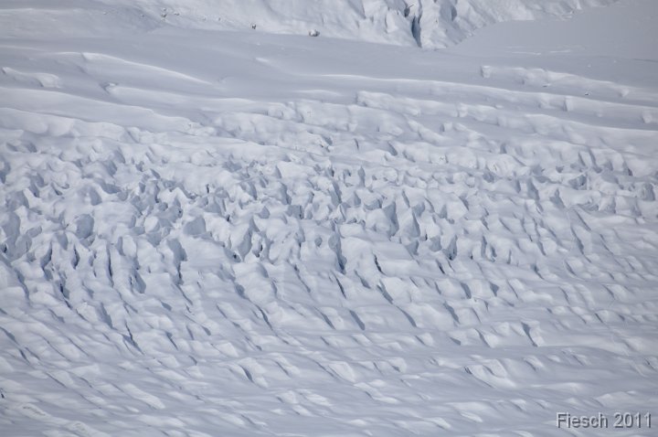 DSC_0558 