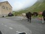 P1140491 Passhoehe Albula