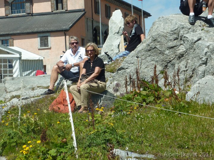 P1010578 Zaungaeste