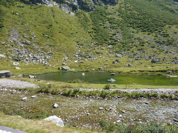 P1010590 