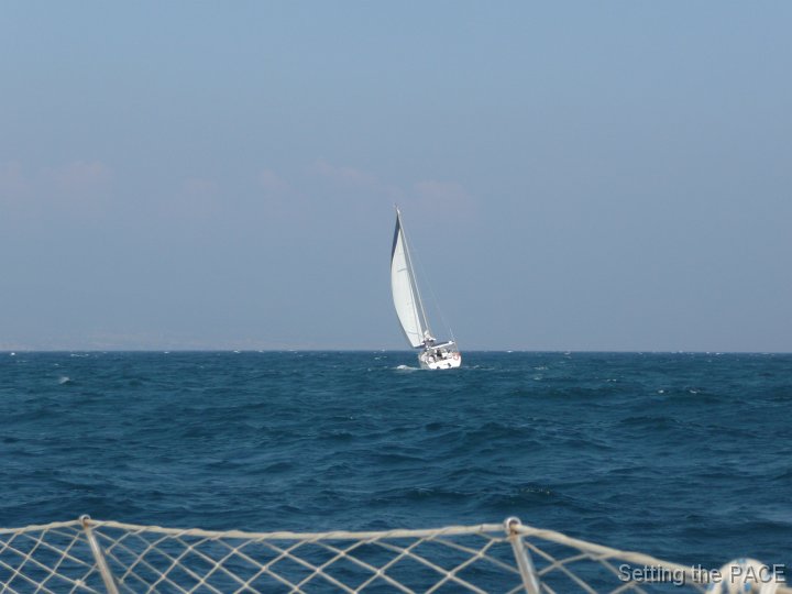 P1150174 