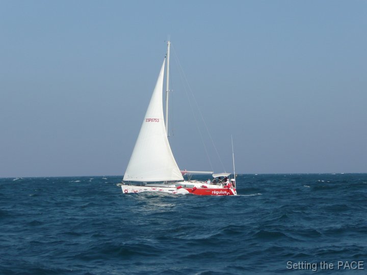 P1150184 