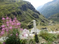 DSC09253