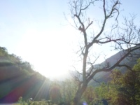 DSC09766