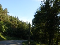 DSC09798