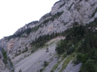 DSC09853