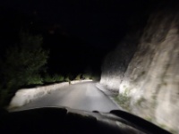 DSC09959  beim Anstieg auf den Col de Restefond treffen wir auf eine verzweifelte Mini-Crew, welche die letzten 5 Liter Benzin einschütten. Alle Tankstellen sind zu... Wir helfen ihnen mit unserem 10 Liter Reservekanister. Wir haben noch den zweiten Tank gefüllt..