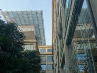 DSC09504