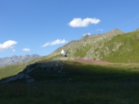 DSC00308