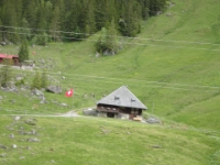 DSC05733