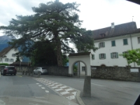 DSC05785  schöner Baum vor altem Tor in Altdorf