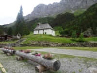 DSC05903  auf dem Weg zurück, noch entlang der Susten Passstrasse. Schöner Frühlingsblumen-Schmuck bei der Kapelle.