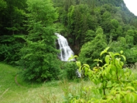 DSC05927  die Giessbach-Fälle begrüssen uns rauschend