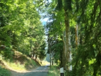 20220811 123348  Steile Anfahrt, single track hoch zum Col de Jaman
