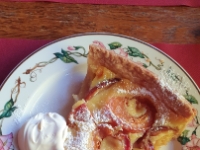 20220811 141045  Und Aprikosen-Wähe mit Créme de Gruyère