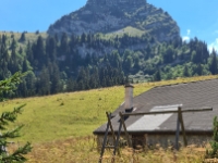 20220811 143701