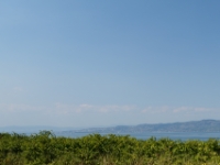 DSC02041