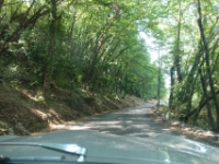 DSC02284