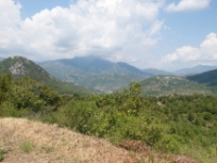 DSC02288