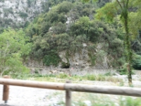 DSC02342