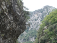 DSC02360