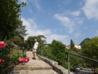DSC02406