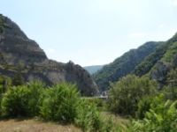 DSC02493