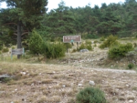 DSC02511