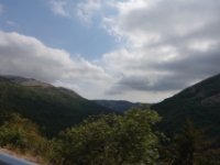 DSC02522