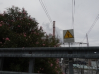 DSC02551