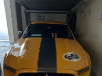 Mustang