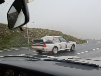 und ziehen in den Nebel, an uns vorbei