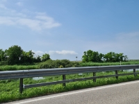 die schöne Marschen-Landschaft