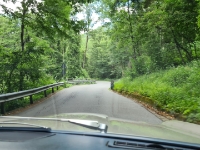 durch den grünen Wald ins Veltlin